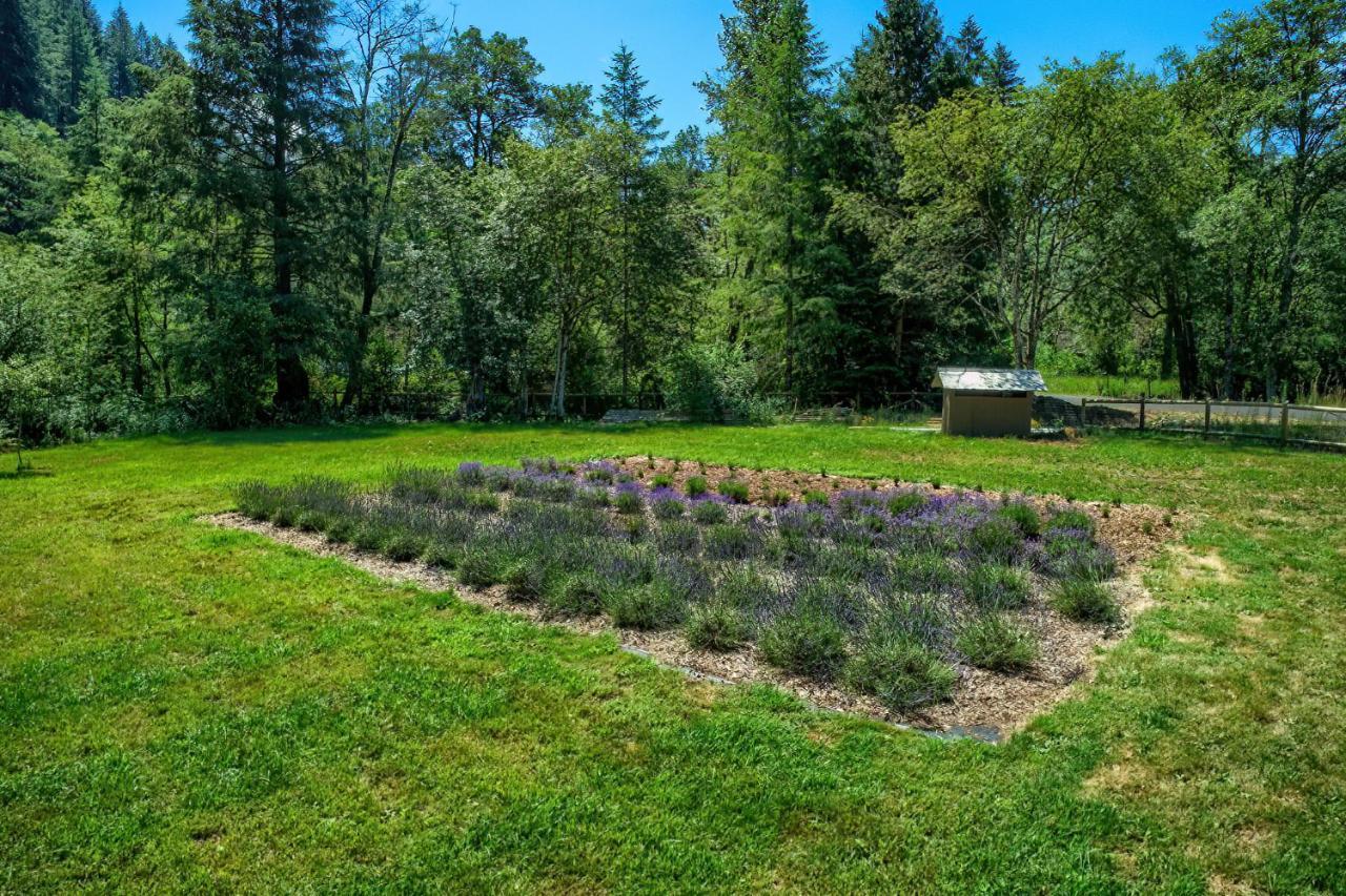 Angels Rest B&B Lavender Farm Skamania Zewnętrze zdjęcie